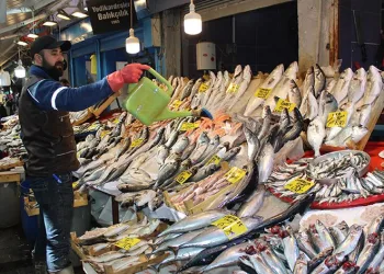 Ramazan geldi, balık fiyatları düştü