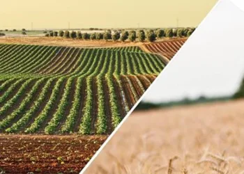 Hasar fazlası desteği kararı yayımlandı