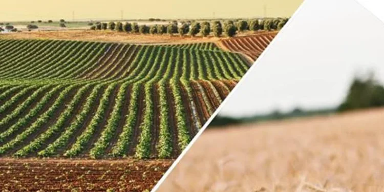 Hasar fazlası desteği kararı yayımlandı