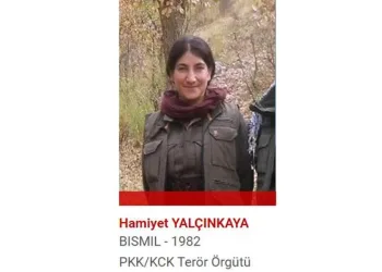 Kırmızı kategorideki terörist etkisiz hale getirildi