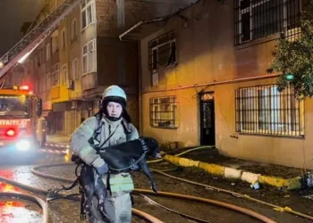 Yanan binadan köpeği kucağında çıkardı