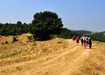 Mysia Yolları için TÜRSAB ile iş birliği
