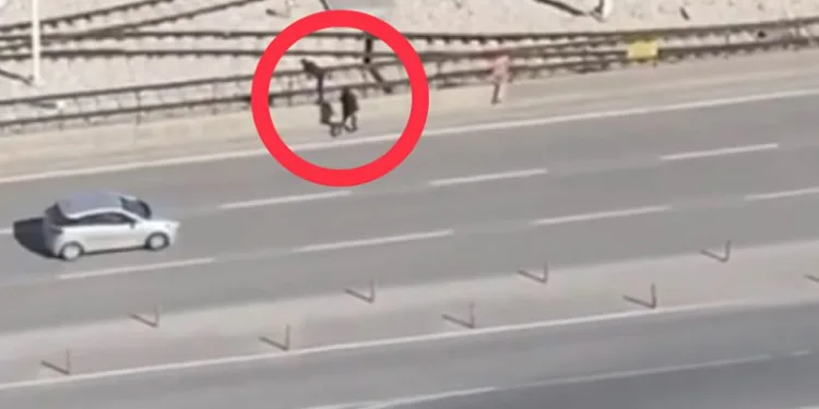 Hırsızlar canlarını hiçe sayarak mazgalları çaldı