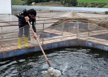 Deprem balık ihracatını da vurdu