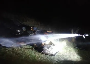 Arı kovanları kül oldu
