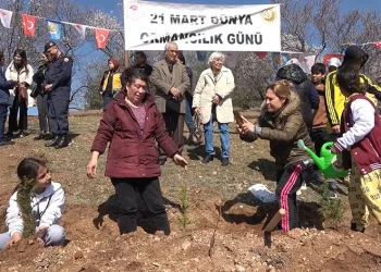 Diktiği fidanı gözyaşıyla suladı