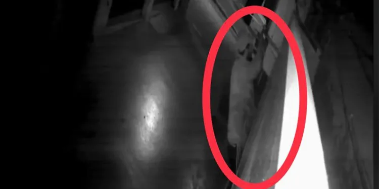 Kedi gibi duvara tırmanan hırsız