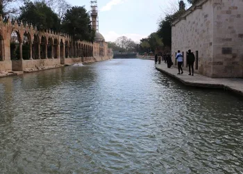 Balıklıgöl’ün balıkları ortaya çıktı