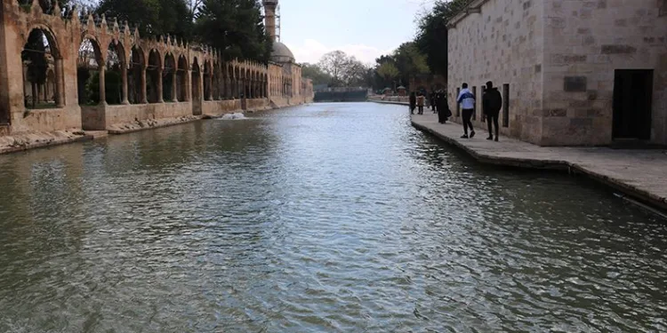 Balıklıgöl’ün balıkları ortaya çıktı