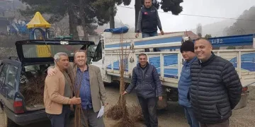 Atıl alanlar kestanelerle dolacak