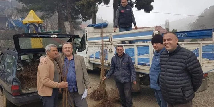 Atıl alanlar kestanelerle dolacak
