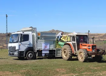 Meralara gübre uygulaması yapıldı