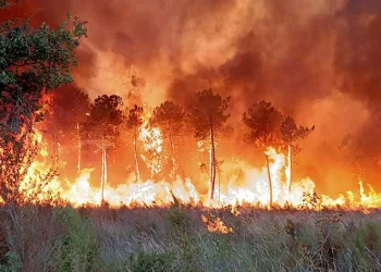 İspanya’da orman yangını