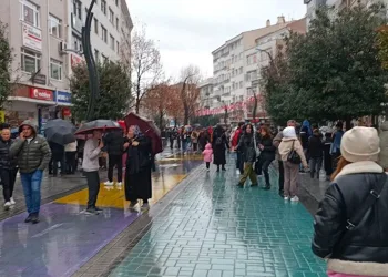 Bolu’da 4,8 şiddetinde deprem