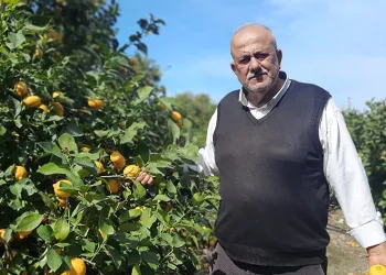 Çiftçilerin mahsulleri ellerinde kaldı
