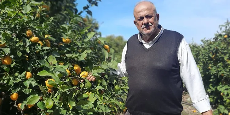 Çiftçilerin mahsulleri ellerinde kaldı