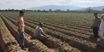 Çilek üreticileri bitler hakkında bilgilendirildi