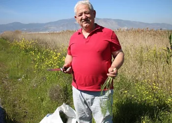 Yol kenarından topladığı otlardan para kazanıyor