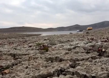 “İlkbahar yağışlarına muhtacız”
