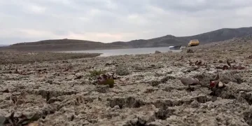 “İlkbahar yağışlarına muhtacız”