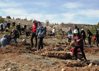 Deprem Şehitleri Hatıra Ormanı kuruldu
