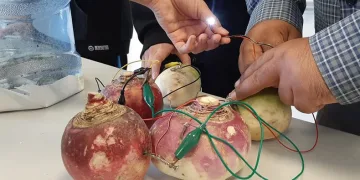 Turptan elektrik ürettiler