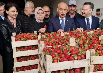 “Örtü altı sera alanı artırıldı”