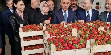 “Örtü altı sera alanı artırıldı”