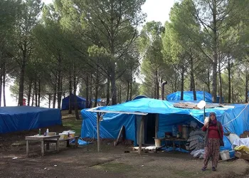 Evleri yıkılan aileler ormanı mesken tuttu