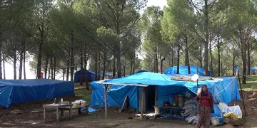 Evleri yıkılan aileler ormanı mesken tuttu