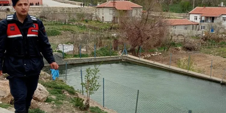 Sulama havuzuna düşen kadın boğuldu
