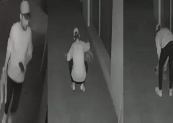 Yavru köpeğe eziyet eden şüpheliye barınak şartı