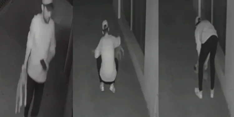 Yavru köpeğe eziyet eden şüpheliye barınak şartı