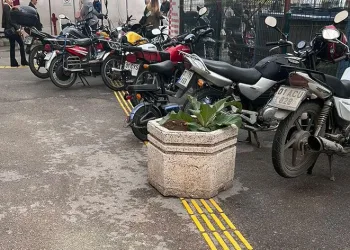 Görme engelliye saksı engeli