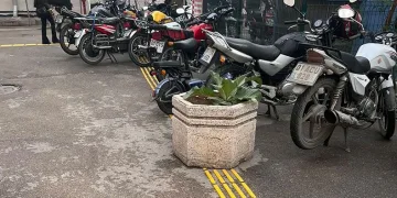 Görme engelliye saksı engeli
