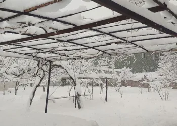 Van yağan karla beyaza büründü
