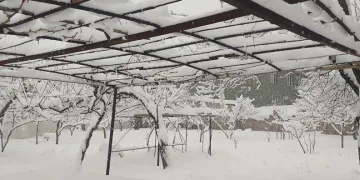Van yağan karla beyaza büründü
