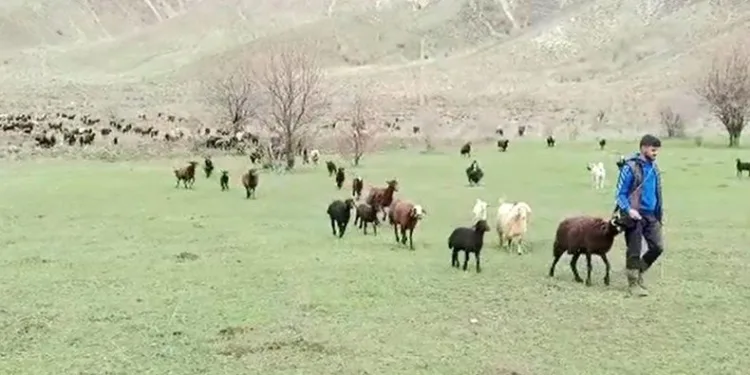 Besicilerin bayramda da mesaisi sürüyor