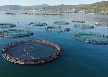 Ekonomiye yıllık katkısı 550 milyon