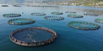 Ekonomiye yıllık katkısı 550 milyon
