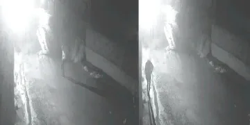 Hırsızlık anı güvenlik kamerasına yansıdı