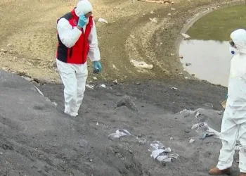 İstanbul’da kimyasal atık baraja karıştı