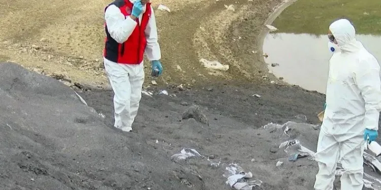 İstanbul’da kimyasal atık baraja karıştı