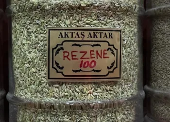 Aktarcılar “Rezene” çayının faydalarını anlattı
