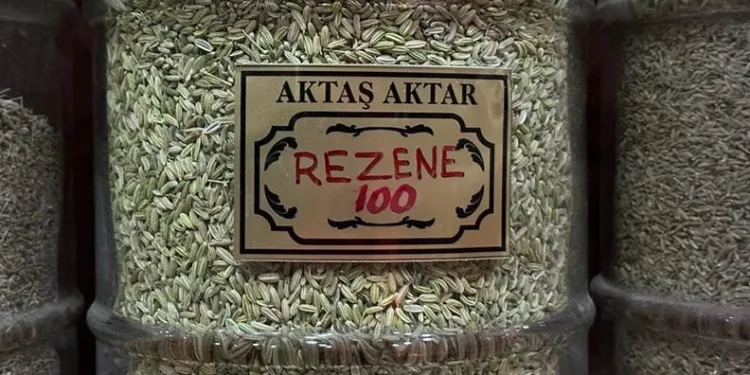 Aktarcılar “Rezene” çayının faydalarını anlattı
