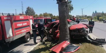 Sollama yaparken palmiyeye çarptı