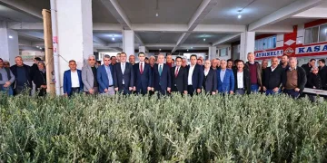 Zeytin fidanı atıl tarım arazileriyle buluşacak