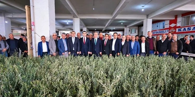 Zeytin fidanı atıl tarım arazileriyle buluşacak
