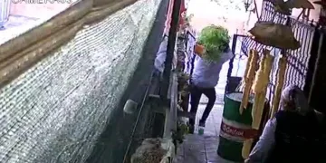 Ev sahibinin gözü önünde saksıyı sırtlayıp götürdü