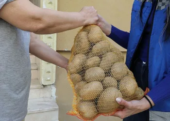Vatandaşın sofrasına 30 ton patates